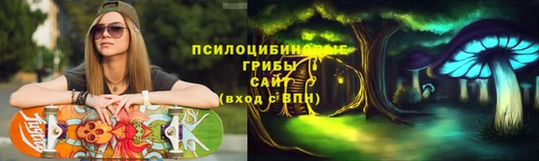 соль ск Богданович