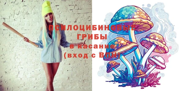 соль ск Богданович