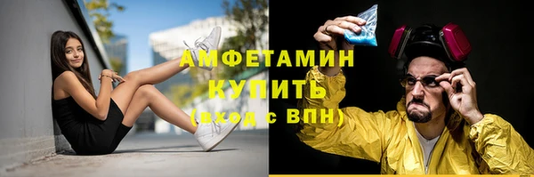 соль ск Богданович