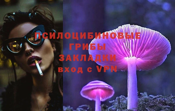 jwh Богородицк