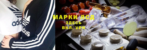 соль ск Богданович