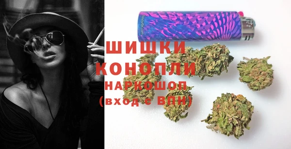 соль ск Богданович