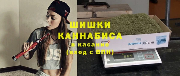 соль ск Богданович